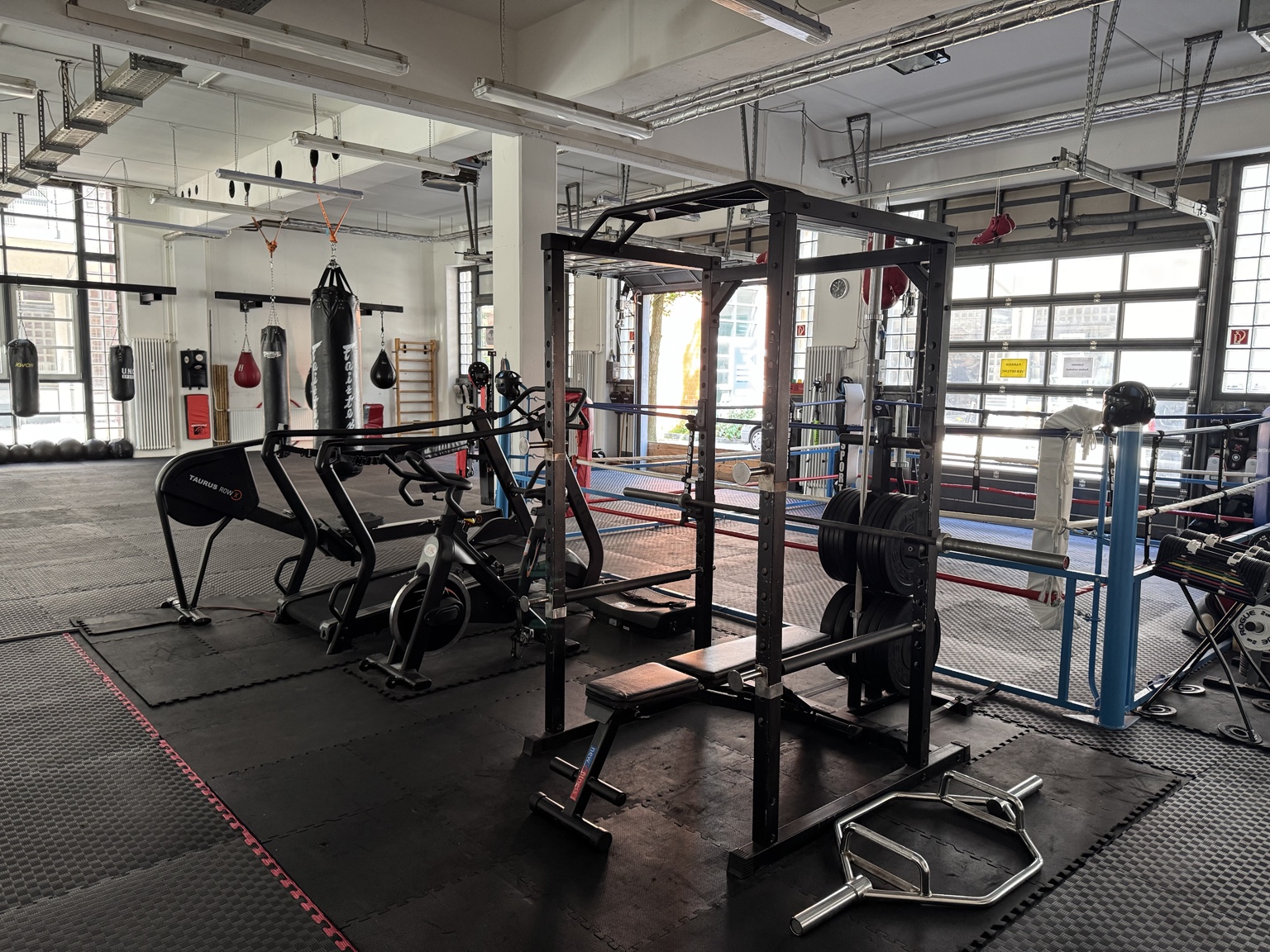 Kraftbereich des D’Amato Gym