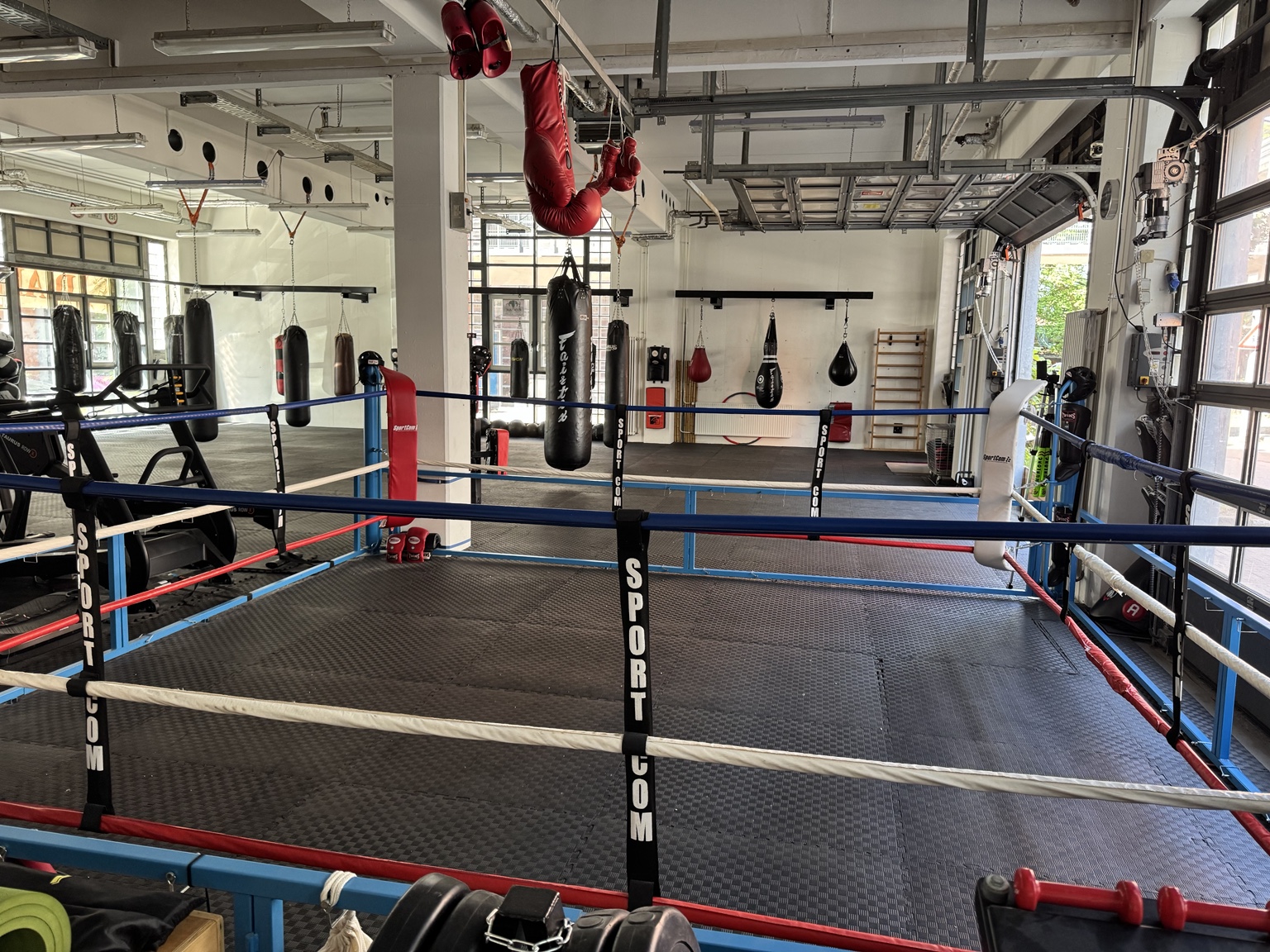 Ring im D’Amato Gym